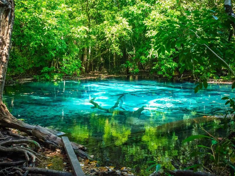 Natural Pool Krabi